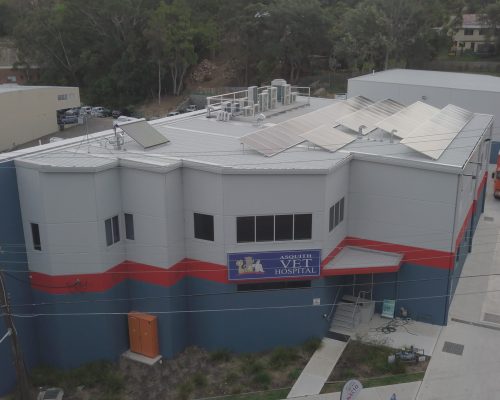 Asquith Veterinary » Asquith Veterinary 9