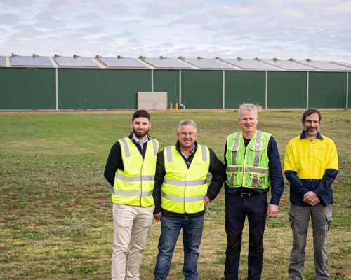 De Bortoli Wines Solar Installation by SCE Energy Solutions